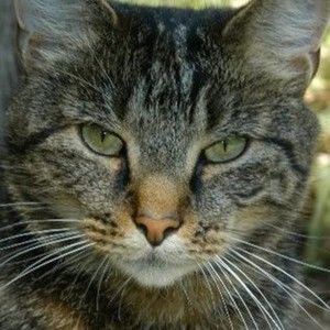 Meet your Posher, Nicholas